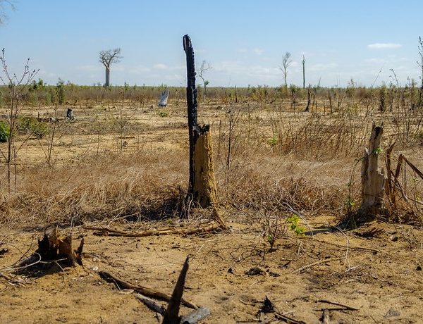 Des ressources en eau qui diminuent